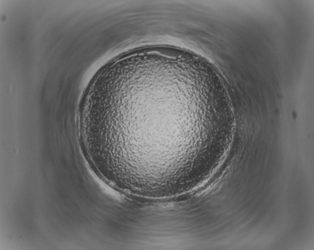 X0000069381519200605121133