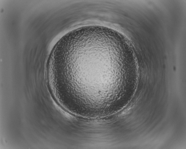 X0000069381527200605121133