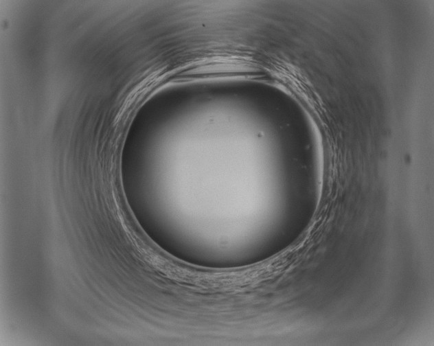 X0000069380001200605150929