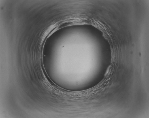 X0000069380003200605150929