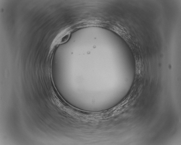 X0000069380004200605150929