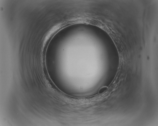 X0000069380006200605150929