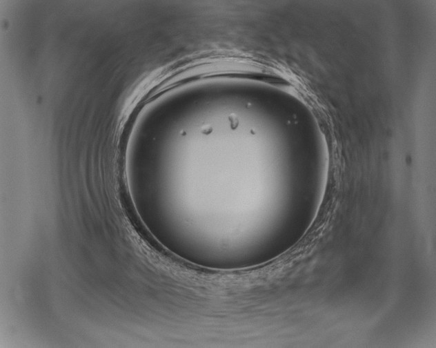 X0000069380007200605150929