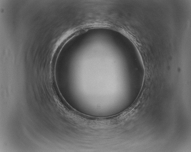 X0000069380008200605150929