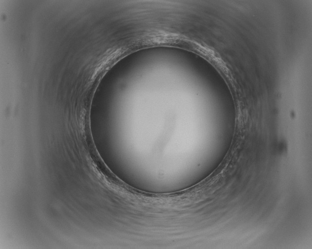 X0000069380010200605150929