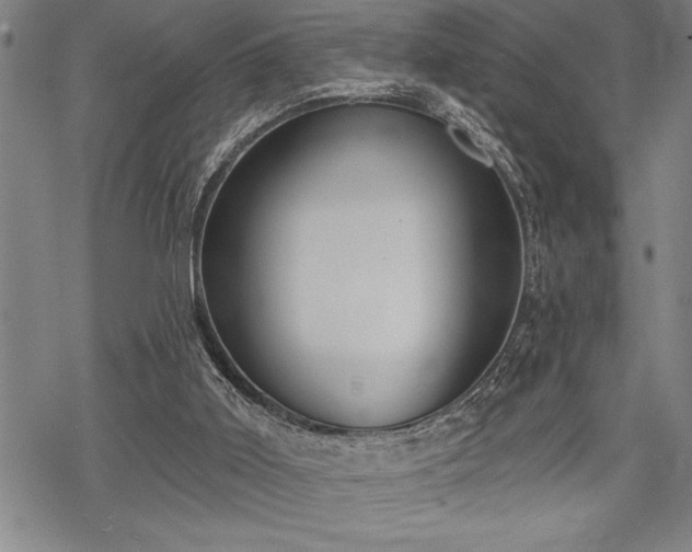 X0000069380011200605150929