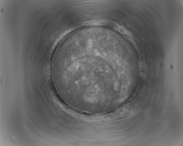 X0000069380012200605150929