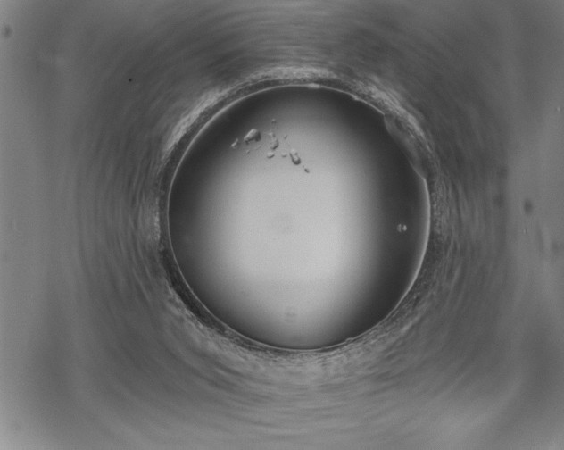 X0000069380015200605150929