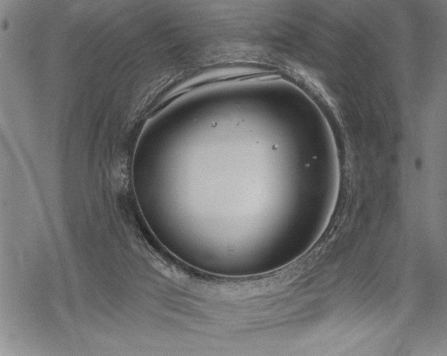 X0000069380017200605150929