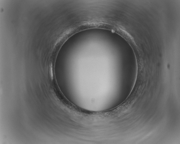 X0000069380020200605150929