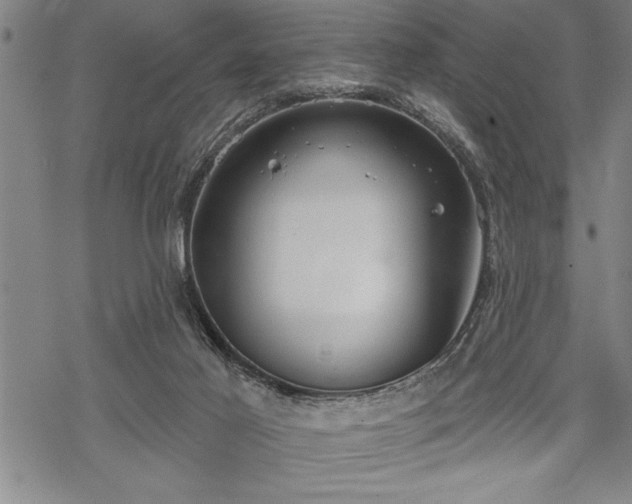 X0000069380021200605150929