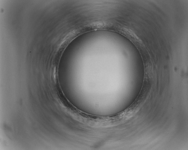 X0000069380024200605150929