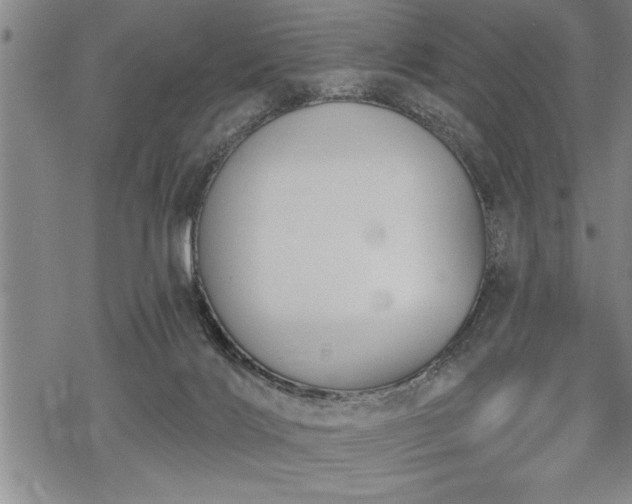 X0000069380028200605150929