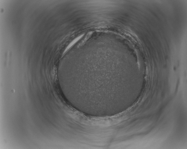 X0000069380029200605150929