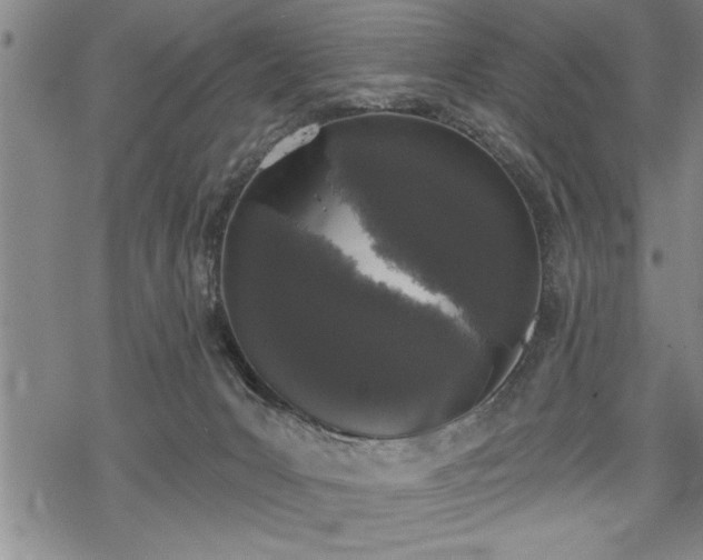 X0000069380031200605150929