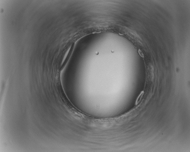 X0000069380033200605150929