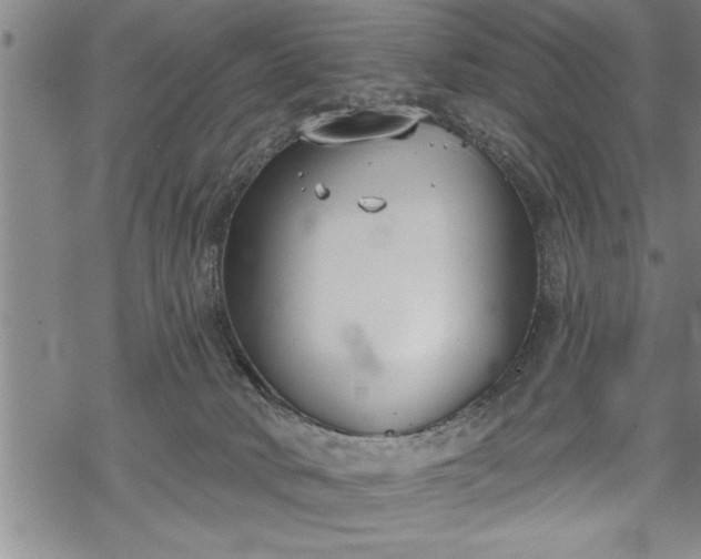 X0000069380034200605150929