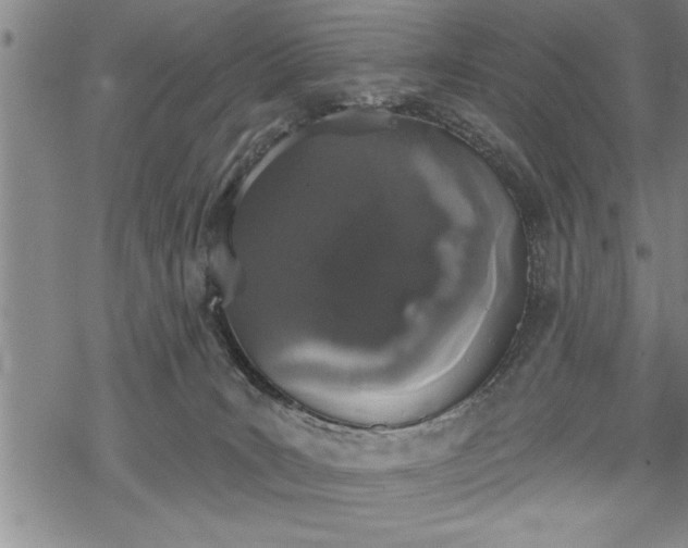 X0000069380035200605150929