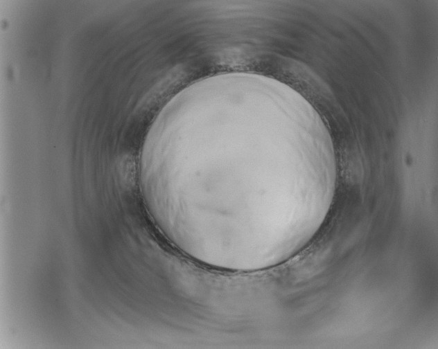 X0000069380036200605150929