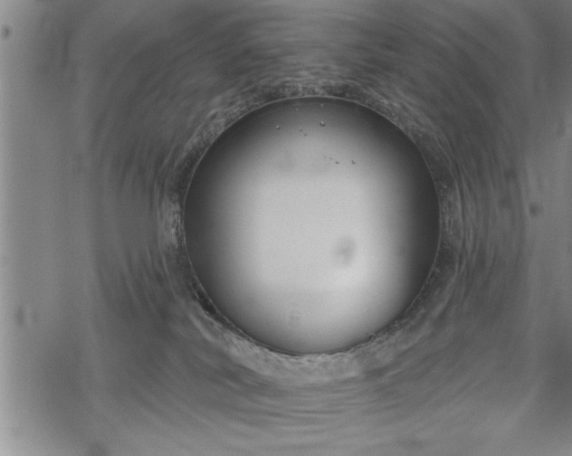 X0000069380038200605150929