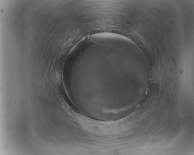 X0000069380039200605150929