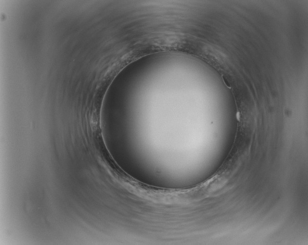 X0000069380040200605150929