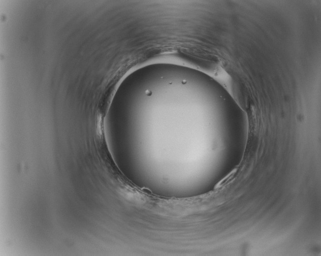 X0000069380041200605150929