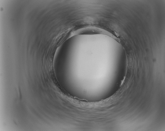 X0000069380043200605150929