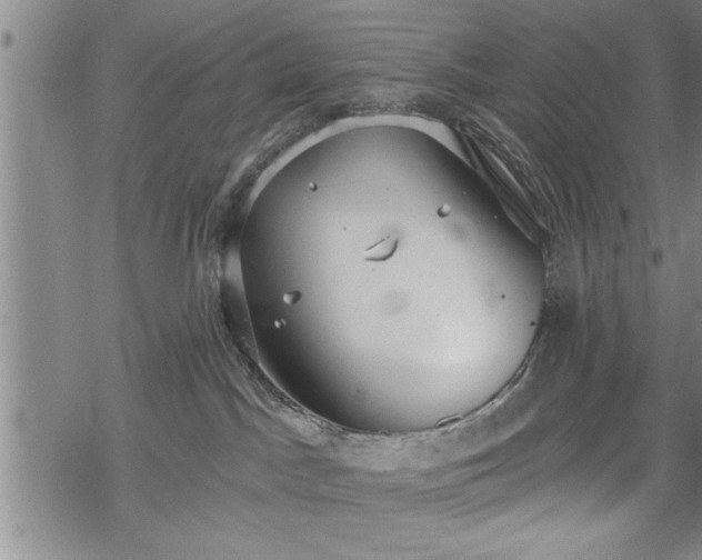 X0000069380045200605150929