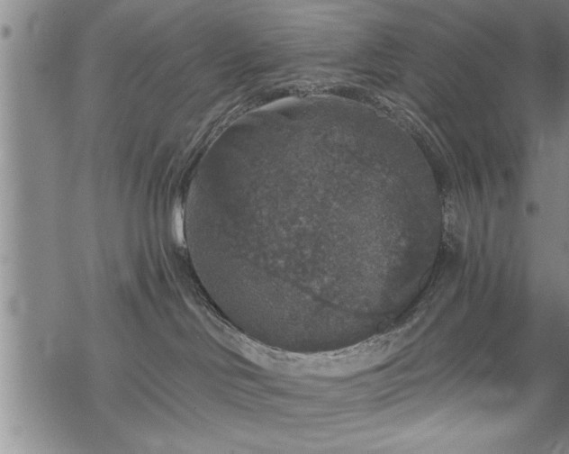 X0000069380046200605150929