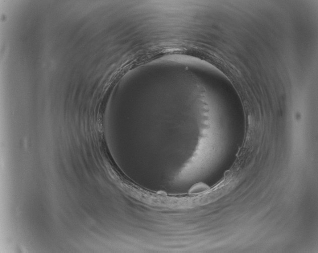 X0000069380048200605150928