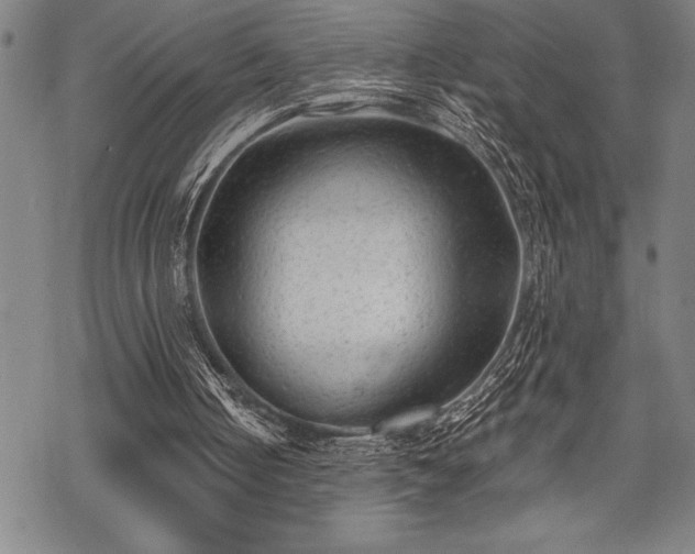 X0000069380050200605150928