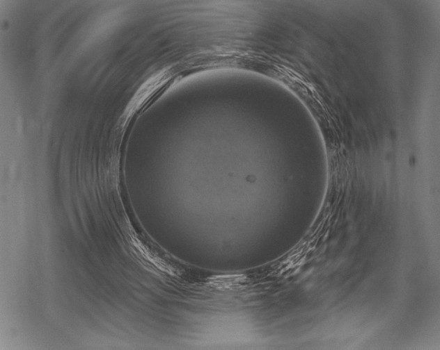 X0000069380051200605150928