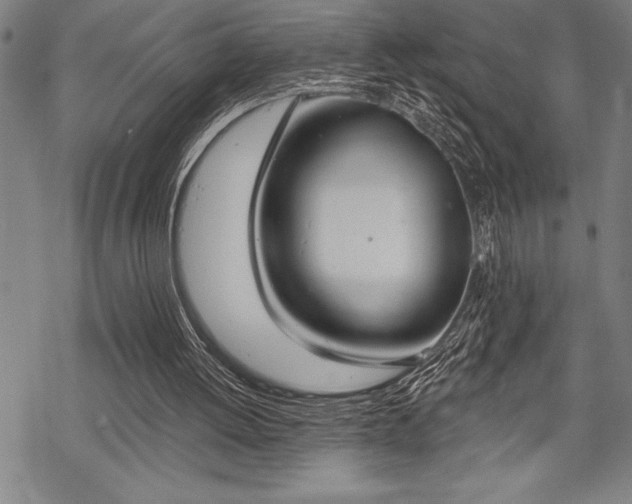 X0000069380052200605150928