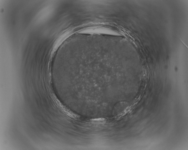 X0000069380053200605150928