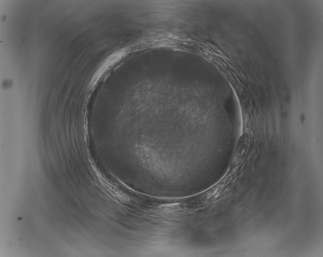 X0000069380054200605150928