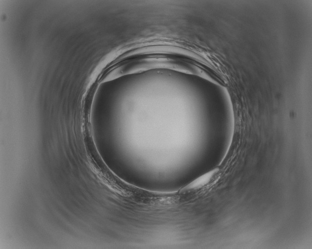 X0000069380056200605150928