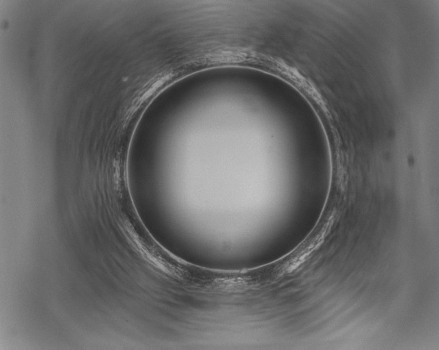 X0000069380057200605150928