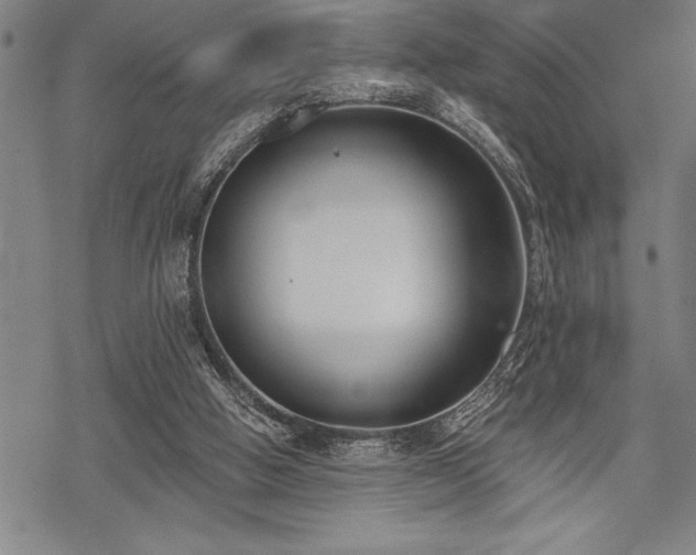 X0000069380058200605150928