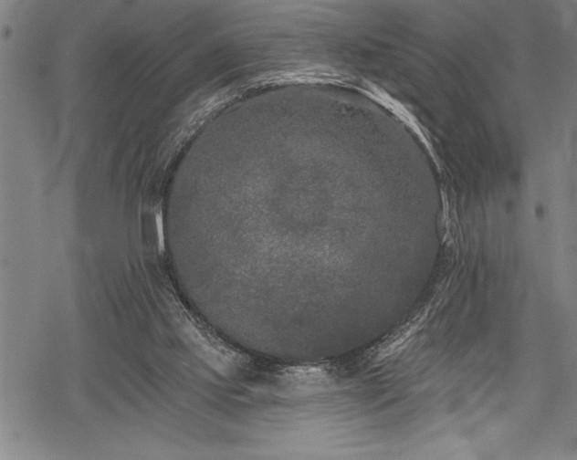 X0000069380061200605150928