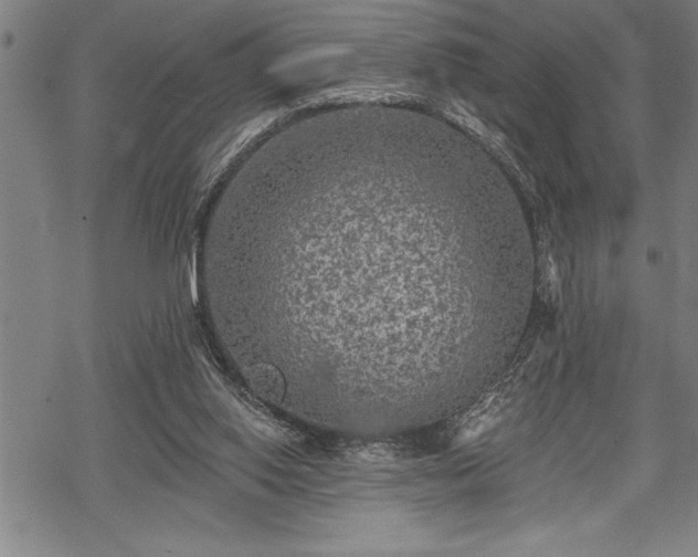 X0000069380062200605150928