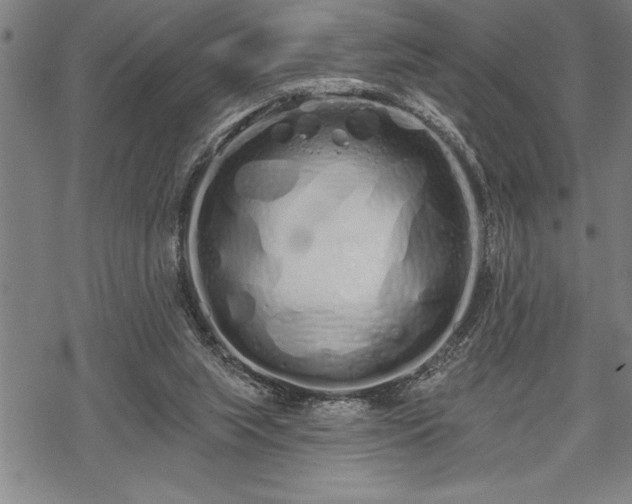 X0000069380063200605150928