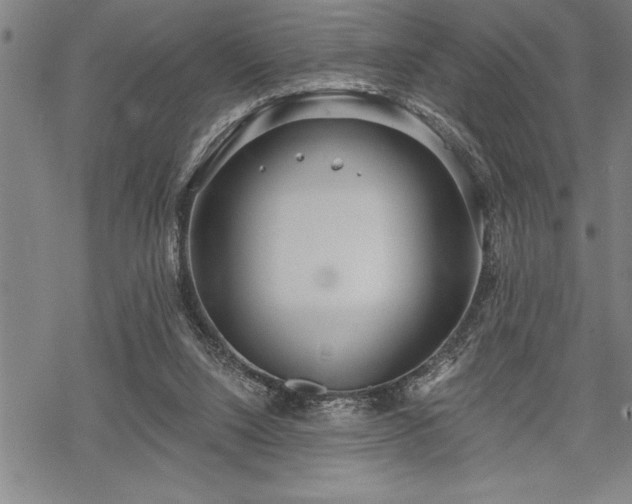 X0000069380064200605150928