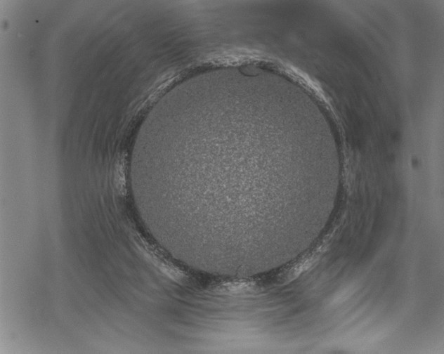 X0000069380065200605150928