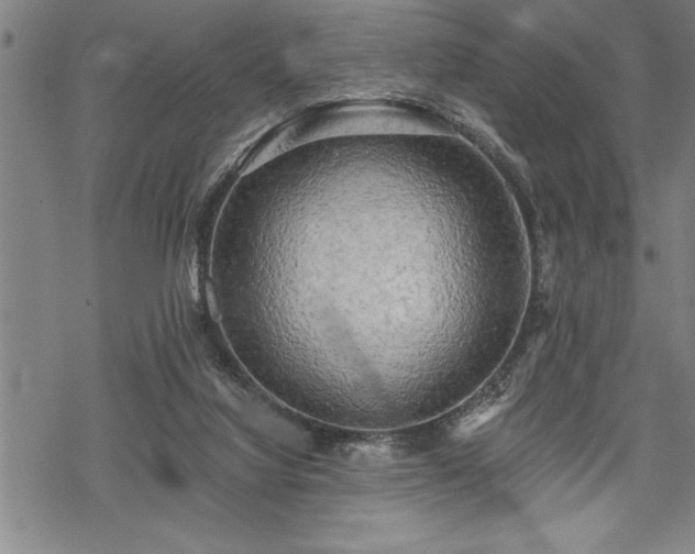 X0000069380068200605150928