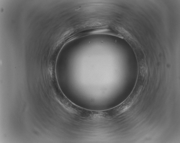 X0000069380072200605150928