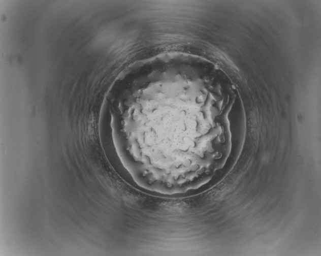 X0000069380073200605150928