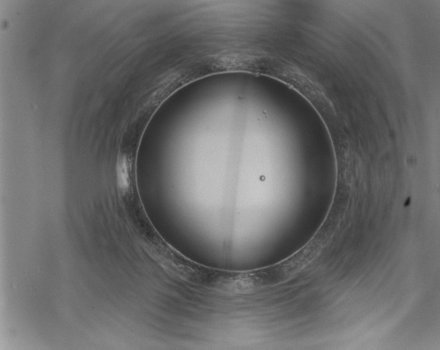 X0000069380075200605150928