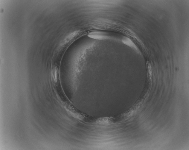 X0000069380076200605150928