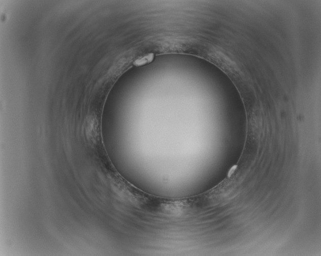 X0000069380079200605150928